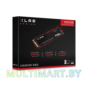 SSD диск PNY XLR8 CS3030 250GB (M280CS3030-250-RB) картинка 4